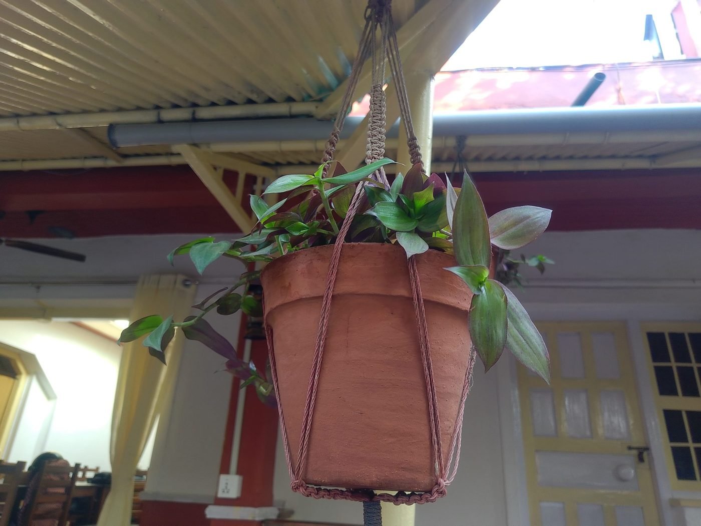 Terracotta Planter - Image 2